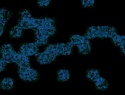 455-114+38o.JPG