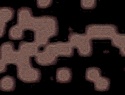 455-114+33o.JPG