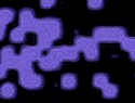 455-114+34o.JPG