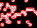 455-114+7o.JPG