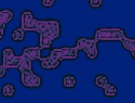 455-114+20o.JPG