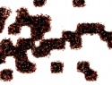 455-114+39o.JPG
