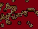 455-114+16o.JPG