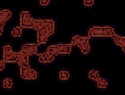 455-114+29o.JPG