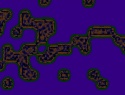 455-114+21o.JPG