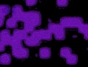 455-114+36o.JPG