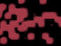 455-114+35o.JPG
