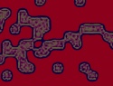 455-114+15o.JPG