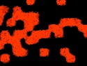 455-114+37o.JPG