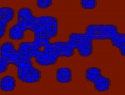 455-114+19o.JPG