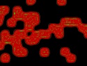 455-114+10o.JPG
