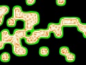 455-114+14o.JPG