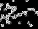 455-114+11o.JPG
