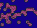 455-114+23o.JPG