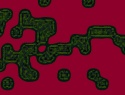 455-114+26o.JPG